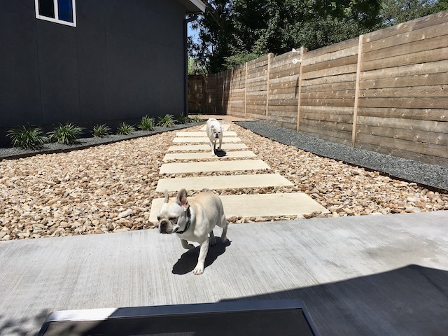Twiggy and Lucy