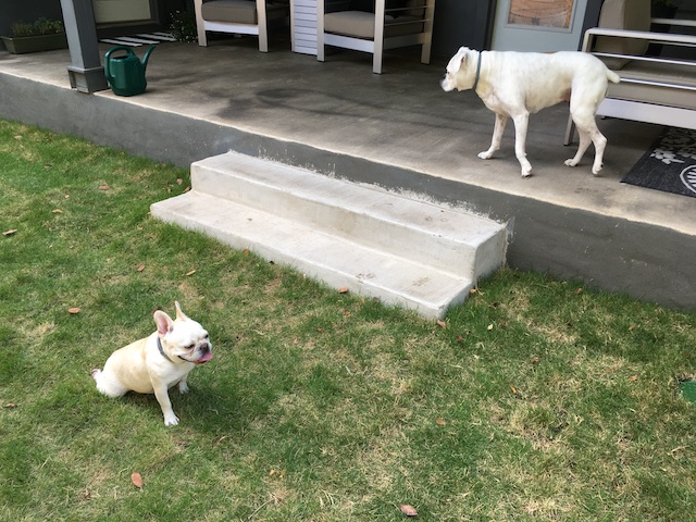 Lucy and Twiggy