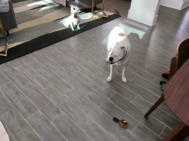 Lucy and Twiggy