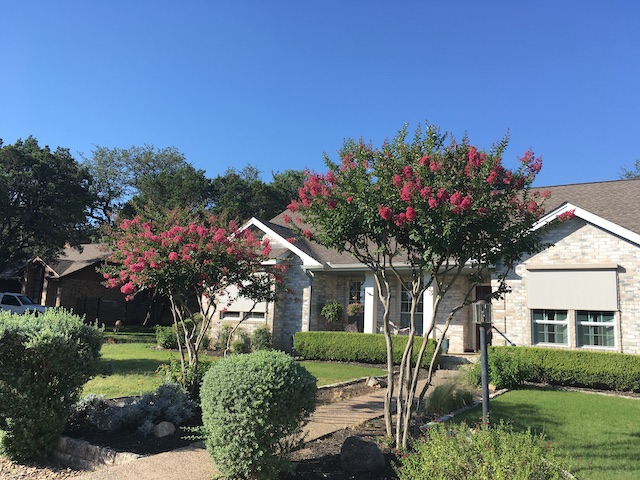 Views of the Neighborhood
