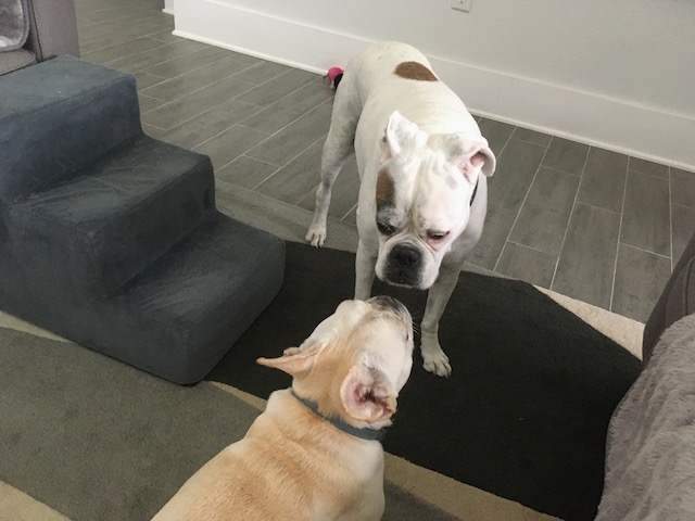 Lucy and Twiggy
