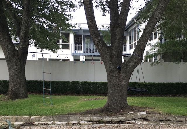 Views of the Neighborhood