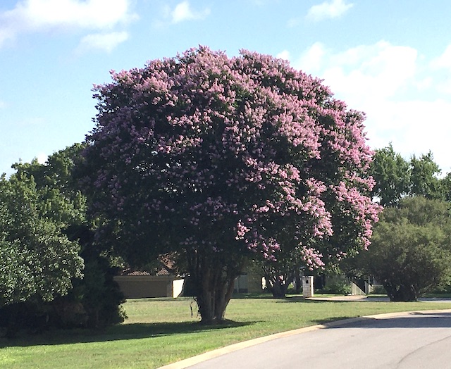 Views of the Neighborhood