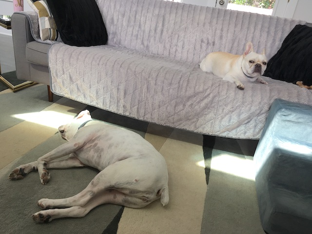 Hump Day