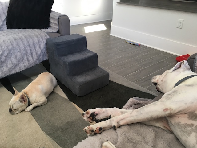 Hump Day