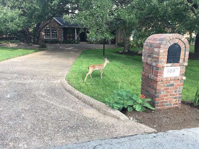 Views of the Neighborhood