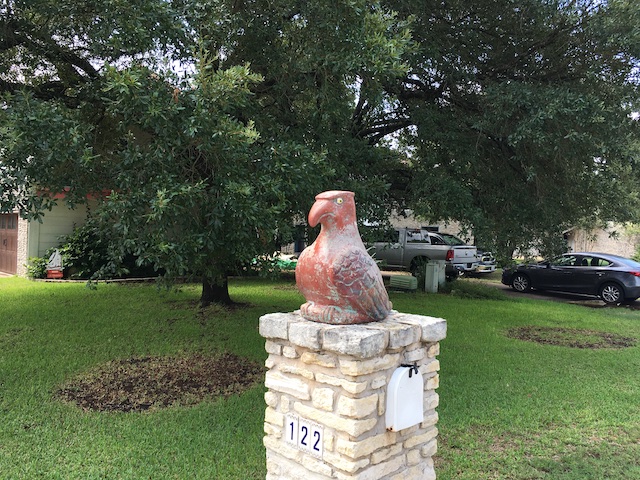 Views of the neighborhood