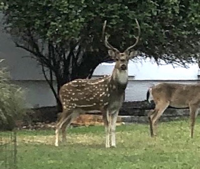 Views of the Neighborhood