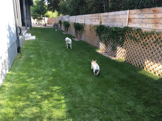 Lucy and Twiggy