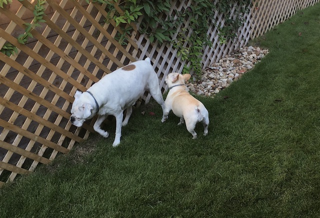 Lucy and Twiggy