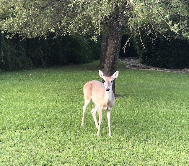 Views of the Neighborhood