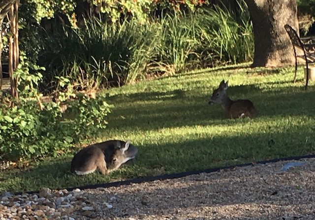 Views of the Neighborhood