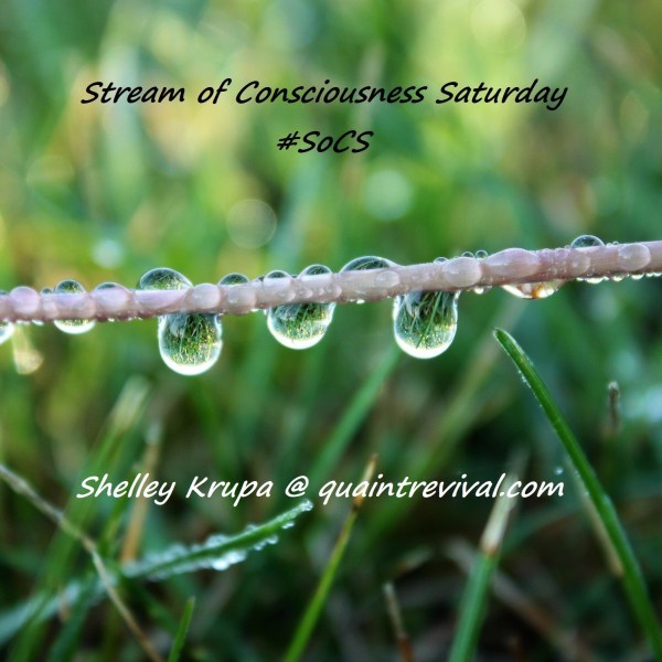 A picture of a string with drops of water- the logo for SoCS