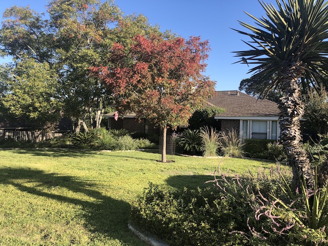 Views of the Neighborhood