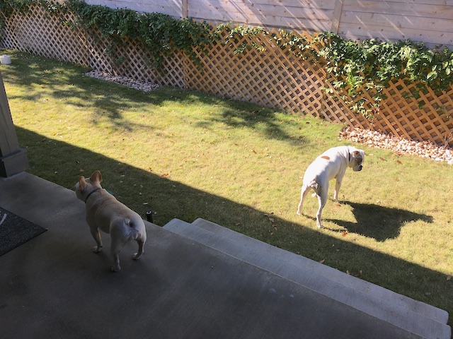 Lucy and Twiggy