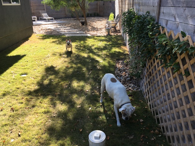 Lucy and Twiggy