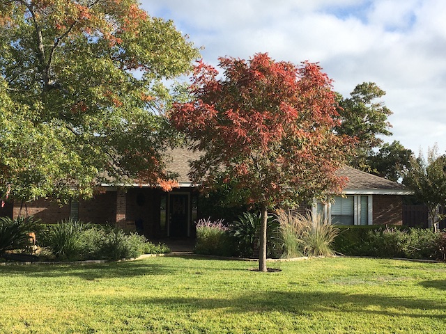 Views of the Neighborhood