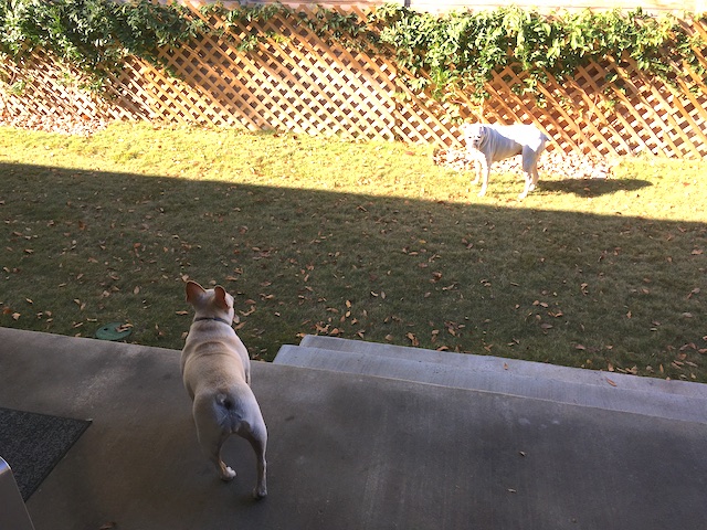 Lucy and Twiggy