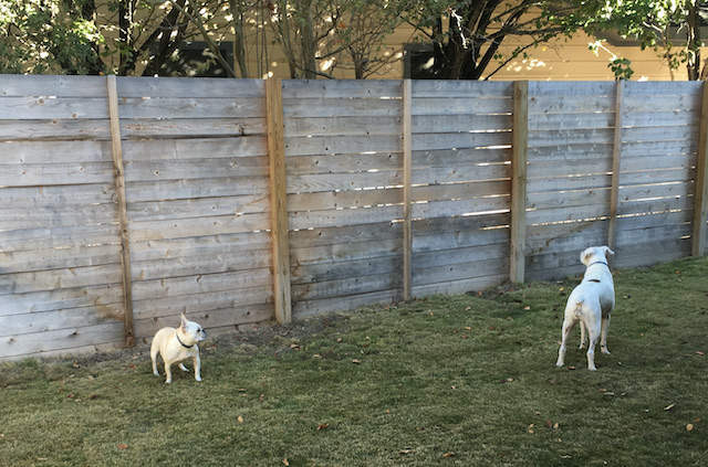 Lucy and Twiggy