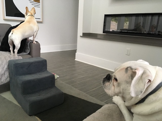 Twiggy and Lucy
