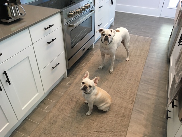 Lucy and Twiggy