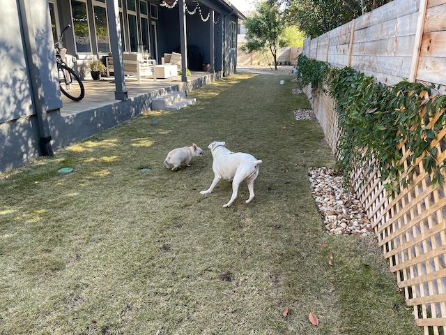 Twiggy and Lucy