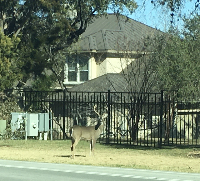 Views of the Neighborhood