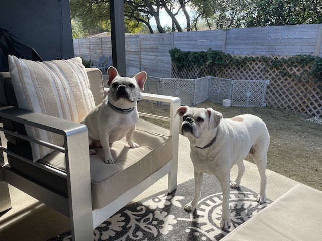 Lucy and Twiggy