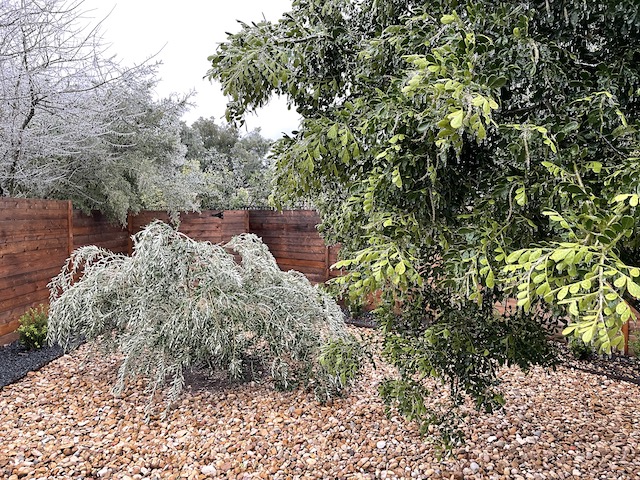 Views of the Neighborhood