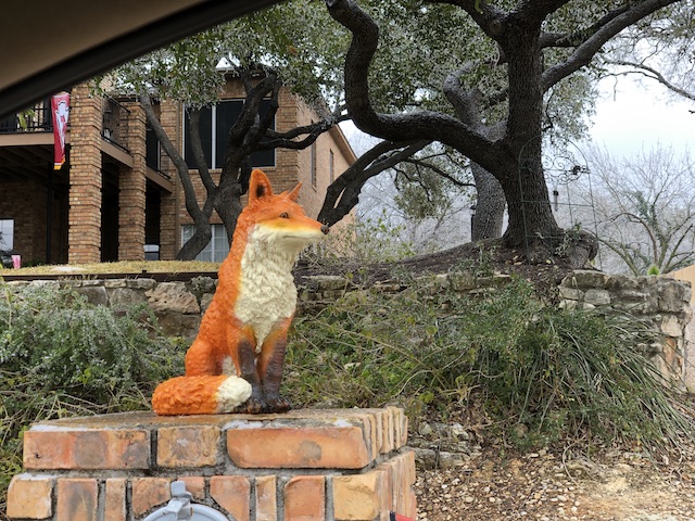 Views of the Neighborhood