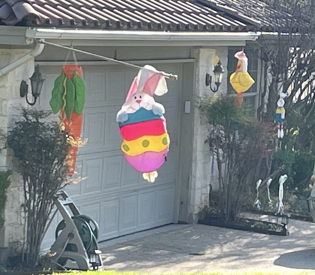 Views of the Neighborhood