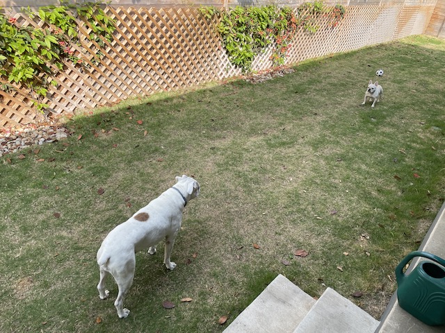 Lucy and Twiggy