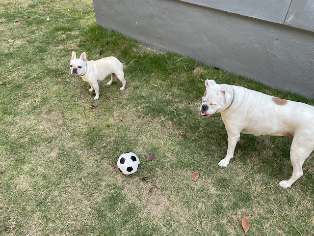 Lucy and Twiggy