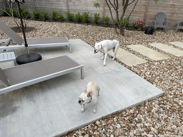 Twiggy and Lucy
