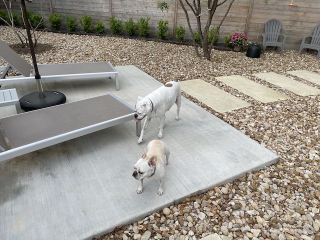 Lucy and Twiggy