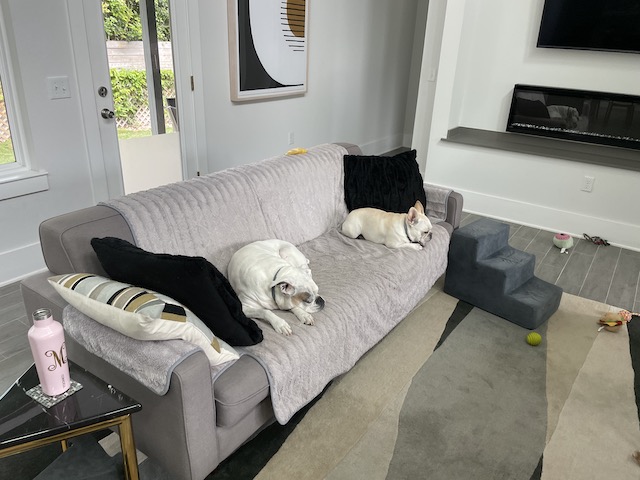 Lucy and Twiggy have to face the cold