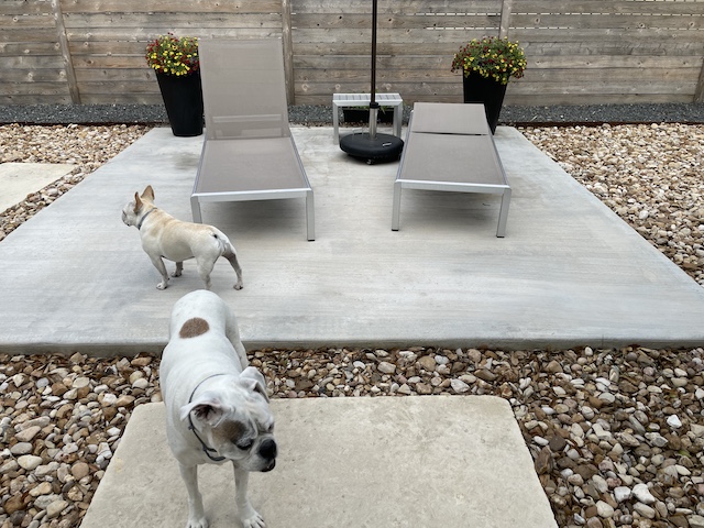 Lucy and Twiggy Looking around