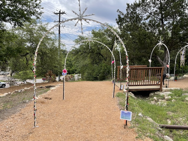 Pictures of the enchanted forest