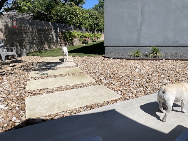 Lucy and Twiggy