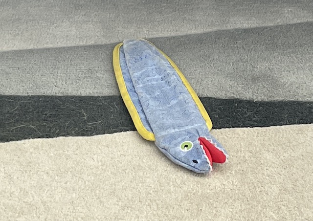 Photo of eel laying the floor