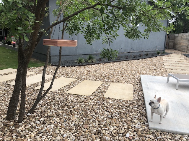 Photo of Twiggy looking at a bird feeder