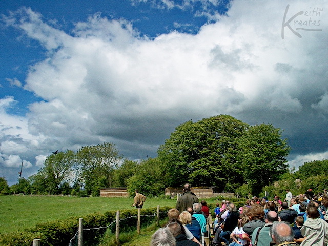 Photo of a cloud