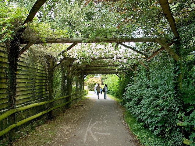 Photo of a bridge.