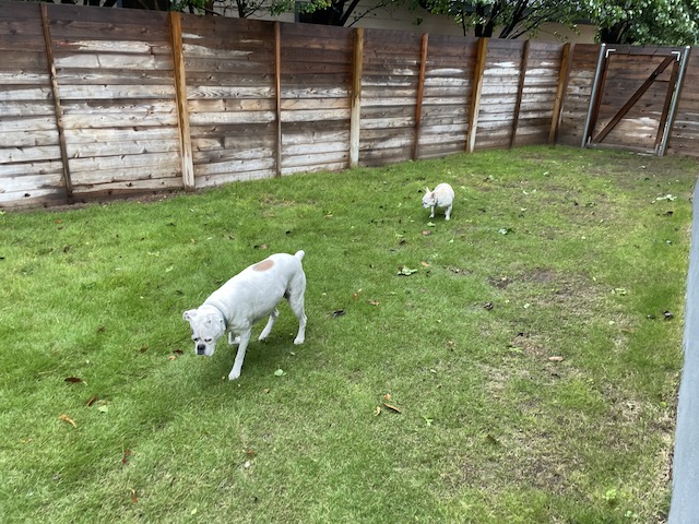 Photo of Lucy and Twiggy