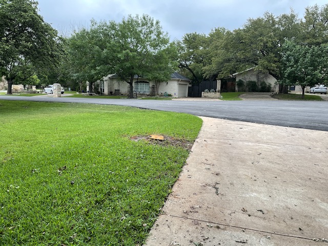 Photo of cut off tree
