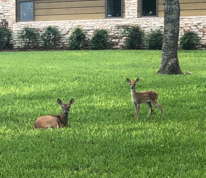 Views of the Neighborhood
