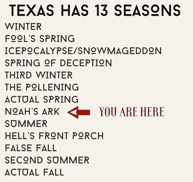 Photo of Texas seasons