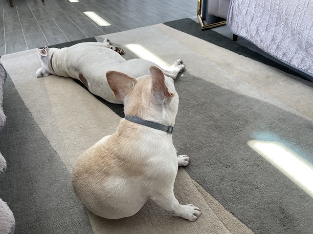 Lucy and Twiggy