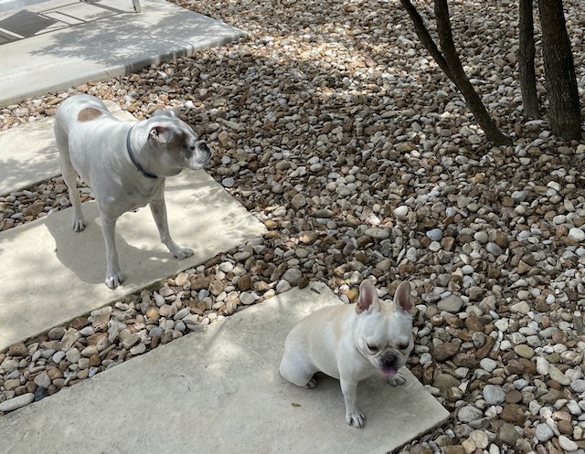 Lucy and Twiggy