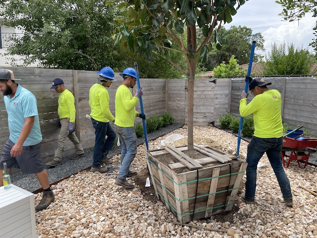 Tree crew at work